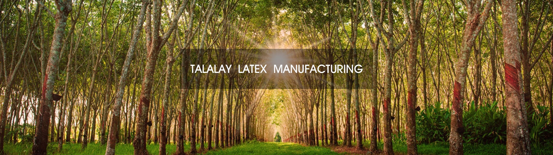 Sunrising Bedding Natural Latex Mattress